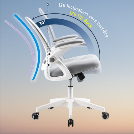 Fauteuil de Bureau Ergonomique avec Support Lombaire - Chaise de Bureau et Domicile - Hauteur et Accoudoirs Réglables - Certifié BIFMA - GERTTRONY