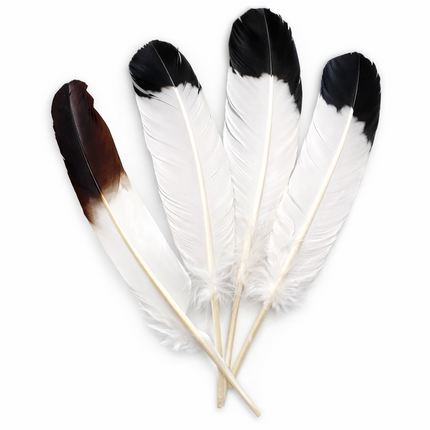 Lot de 10 Plumes Naturelles de Dinde – Noir et Blanc – 25-30 cm – Matériel Haut de Gamme pour Artisanat, Décoration Mariage, DIY, Accessoires de Fête et Créations de Bijoux