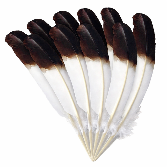Lot de 10 Plumes Naturelles de Dinde – Noir et Blanc – 25-30 cm – Matériel Haut de Gamme pour Artisanat, Décoration Mariage, DIY, Accessoires de Fête et Créations de Bijoux