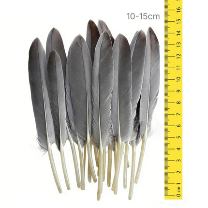 Lot de 200 Plumes d’Oie Naturelles 10-15 cm – Couleur d’Origine – Matériel Brut pour Créations Artisanales, Capteurs de Rêves, Masques, Accessoires de Scène et autres usages