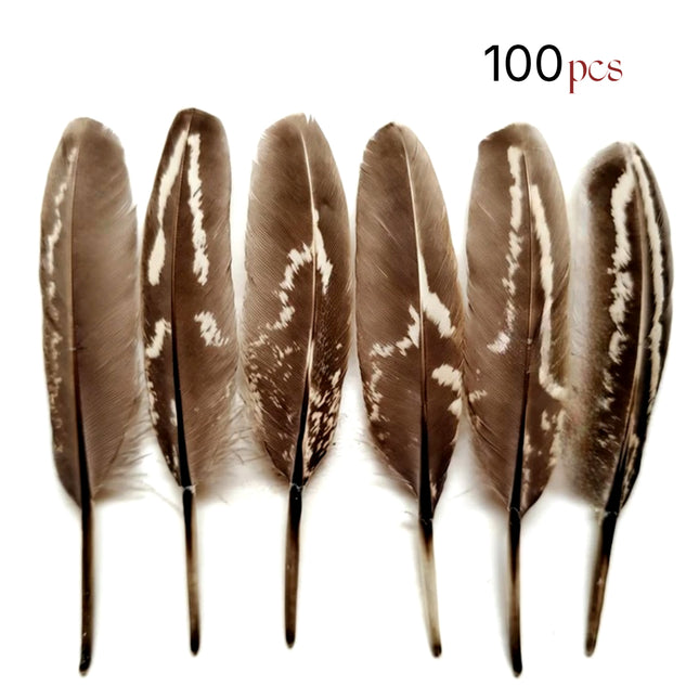 Lot de 100 Plumes naturelles de faisan à collier mâle – Récrémences fines 5-9 cm – Matériel DIY professionnel pour accessoires de scène, costumes, créations ornithologiques et autres usages