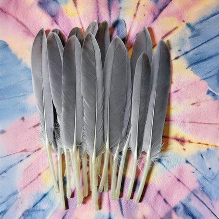 Lot de 200 Plumes d’Oie Naturelles 10-15 cm – Couleur d’Origine – Matériel Brut pour Créations Artisanales, Capteurs de Rêves, Masques, Accessoires de Scène et autres usages