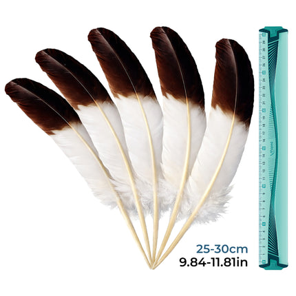 Lot de 10 Plumes Naturelles de Dinde – Noir et Blanc – 25-30 cm – Matériel Haut de Gamme pour Artisanat, Décoration Mariage, DIY, Accessoires de Fête et Créations de Bijoux