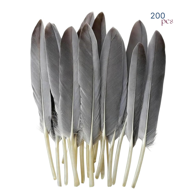 Lot de 200 Plumes d’Oie Naturelles 10-15 cm – Couleur d’Origine – Matériel Brut pour Créations Artisanales, Capteurs de Rêves, Masques, Accessoires de Scène et autres usages