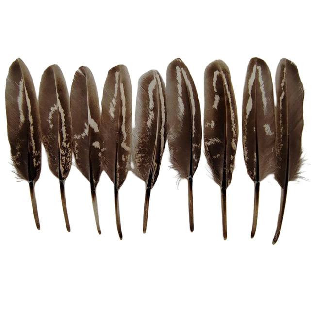 Lot de 100 Plumes naturelles de faisan à collier mâle – Récrémences fines 5-9 cm – Matériel DIY professionnel pour accessoires de scène, costumes, créations ornithologiques et autres usages