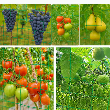Treillis de Jardin Solide en Nylon – Filet de Support pour Plantes Grimpantes et Légumes – Mailles Carrées Résistantes